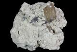 Purple/Gray Fluorite & Calcite - Marblehead Quarry Ohio #81180-2